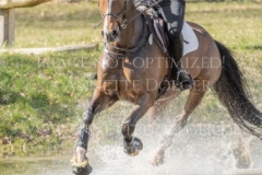 Darcy F Libussa LUEBBEKE