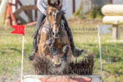 Darcy F Libussa LUEBBEKE