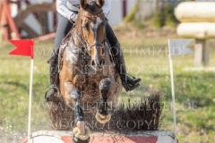 Darcy F Libussa LUEBBEKE