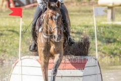 Darcy F Libussa LUEBBEKE