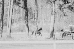 Cool Charly Blue Kaya THOMSEN