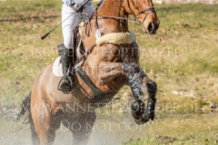 Cool Charly Blue Kaya THOMSEN