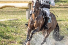 Fortune III Pietro GRANDIS