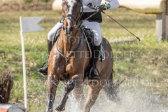 Fortune III Pietro GRANDIS