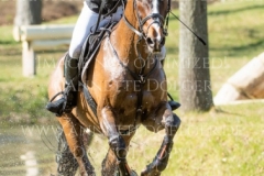 Fortune III Pietro GRANDIS