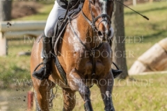 Fortune III Pietro GRANDIS