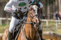 Fortune III Pietro GRANDIS