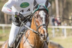 Fortune III Pietro GRANDIS