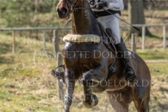 Wilbur Larch Jan MATTHIAS