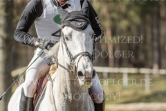 Timmo Nicolai ALDINGER