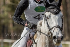 Timmo Nicolai ALDINGER