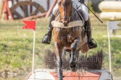 Celladonn Christoffer FORSBERG