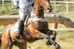 Celladonn Christoffer FORSBERG