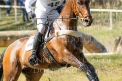 Celladonn Christoffer FORSBERG