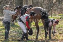 Queastrio Lars SIEGLE