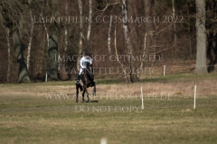 Sunnyvale Lass Shunto TAKAHASHI