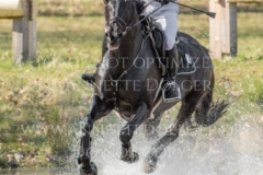 Sunnyvale Lass Shunto TAKAHASHI