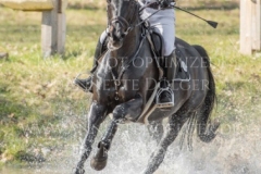 Sunnyvale Lass Shunto TAKAHASHI