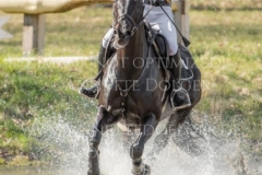 Sunnyvale Lass Shunto TAKAHASHI