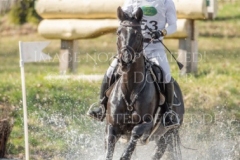 Sunnyvale Lass Shunto TAKAHASHI