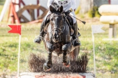 Sunnyvale Lass Shunto TAKAHASHI