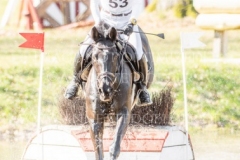 Sunnyvale Lass Shunto TAKAHASHI