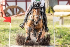 Altair de la Cense Calvin BOECKMANN