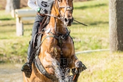 Altair de la Cense Calvin BOECKMANN