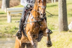 Altair de la Cense Calvin BOECKMANN