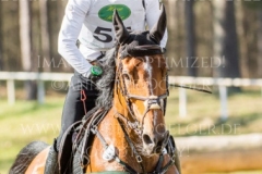 Altair de la Cense Calvin BOECKMANN