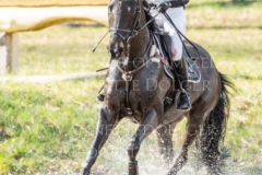 Naughty Girl 5 Anna SIEMER