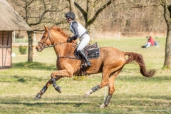 Viamant du Matz Sandra AUFFARTH