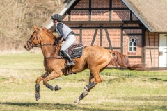 Viamant du Matz Sandra AUFFARTH