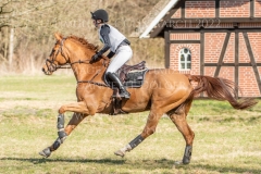 Viamant du Matz Sandra AUFFARTH