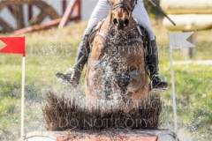 Calle 44 Yoshiaki OIWA