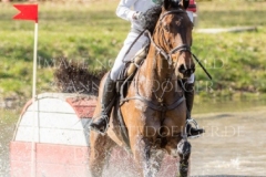 Calle 44 Yoshiaki OIWA