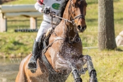 Calle 44 Yoshiaki OIWA