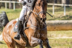 Calle 44 Yoshiaki OIWA