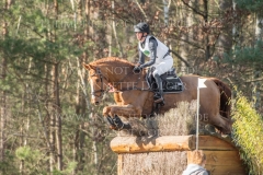 Viamant du Matz Sandra AUFFARTH