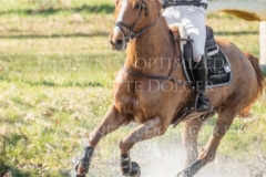 Viamant du Matz Sandra AUFFARTH