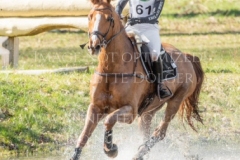 Viamant du Matz Sandra AUFFARTH