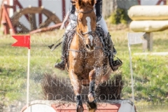 Viamant du Matz Sandra AUFFARTH