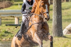 Viamant du Matz Sandra AUFFARTH