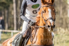 Viamant du Matz Sandra AUFFARTH