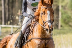 Viamant du Matz Sandra AUFFARTH