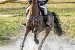 Vroni S Malin PETERSEN