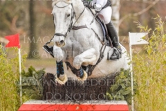 Butterblume I Sabrina LABES