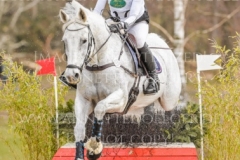 Butterblume I Sabrina LABES