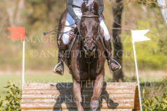 Candida Rebecca Rothman SKARSOE