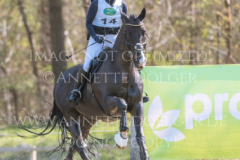 Carrys Crack Mara WELTER